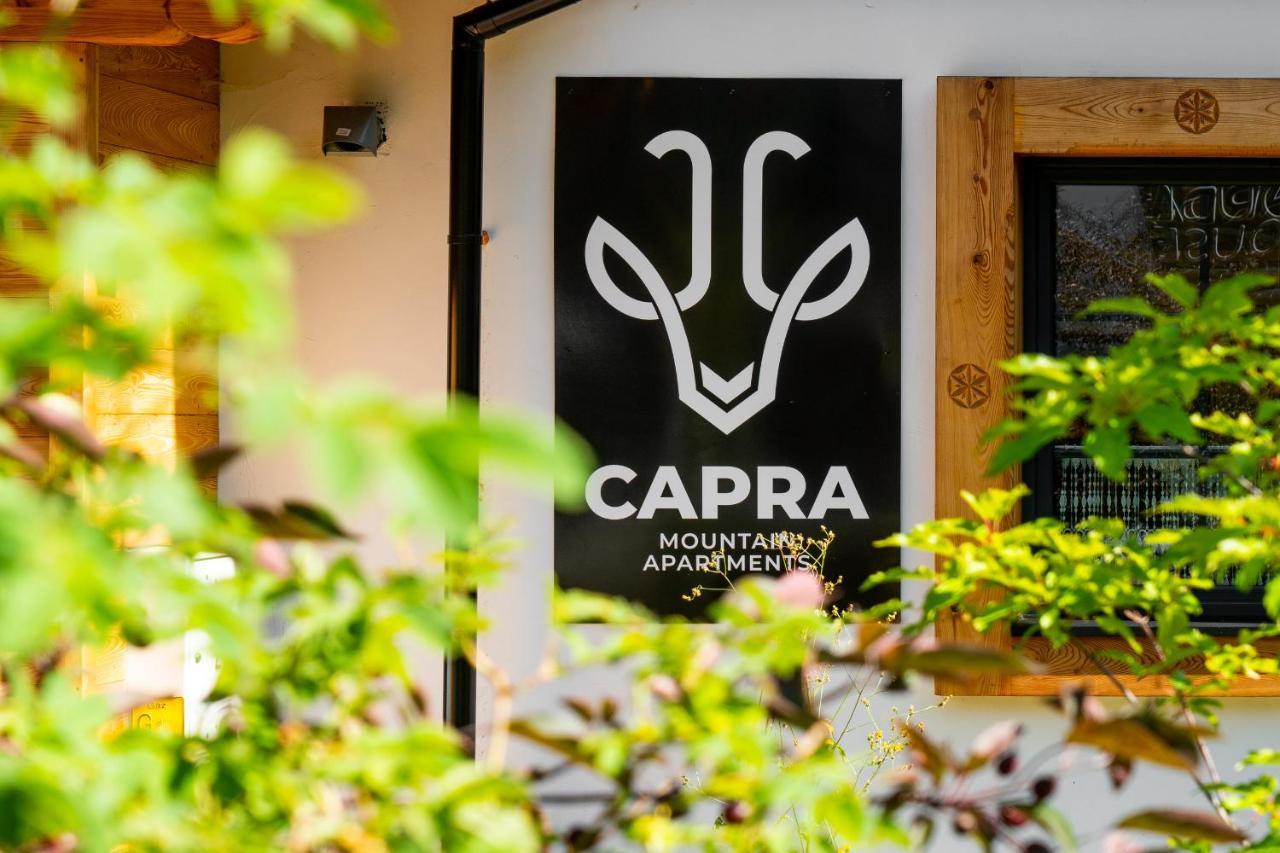 Villa Capra - Apartments Adult Only Zakopane Eksteriør billede